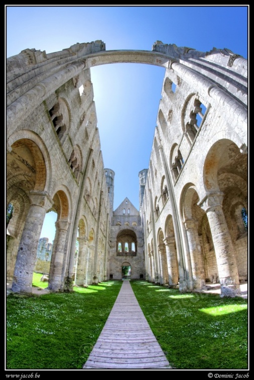 0650-Jumieges ruines
