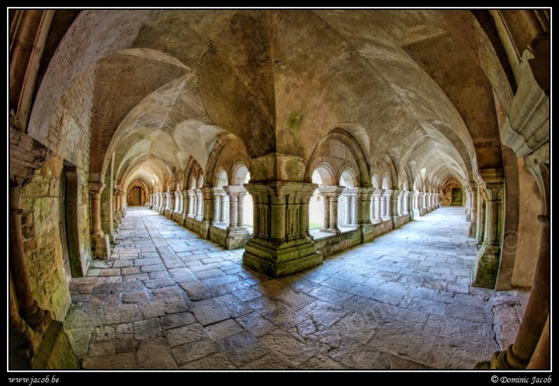 010-Abbaye de Fontenay