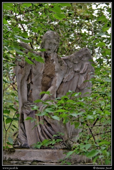 004-Wien Friedhof.jpg