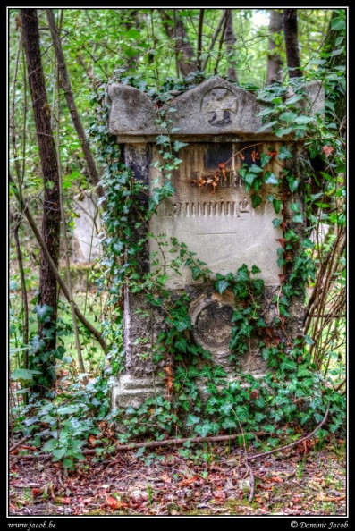 005-Wien Friedhof.jpg