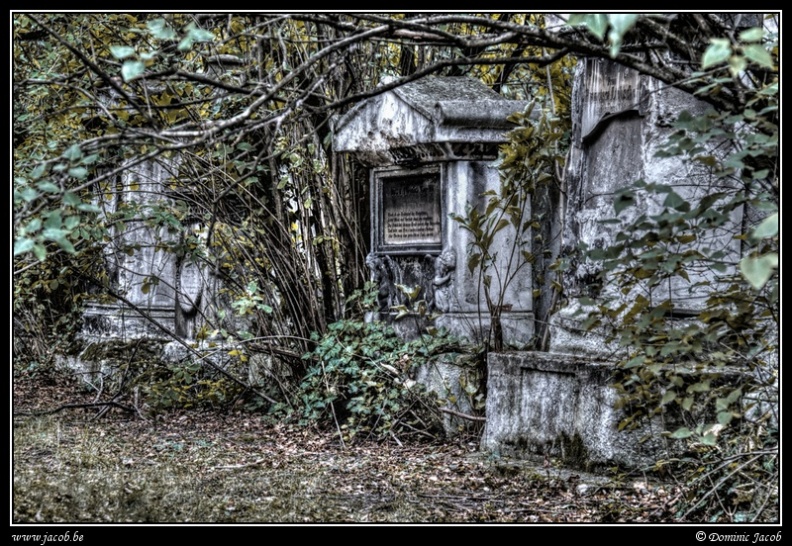 016-Wien Friedhof.jpg