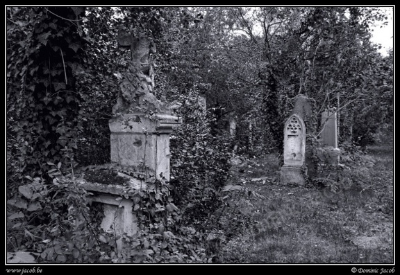 017-Wien Friedhof