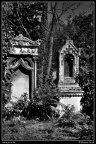 019-Wien Friedhof