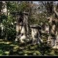 021-Wien Friedhof