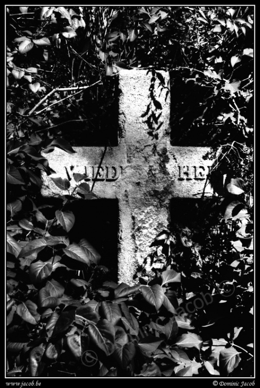023-Wien Friedhof
