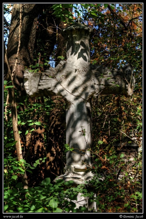 022-Wien Friedhof