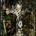 022-Wien Friedhof