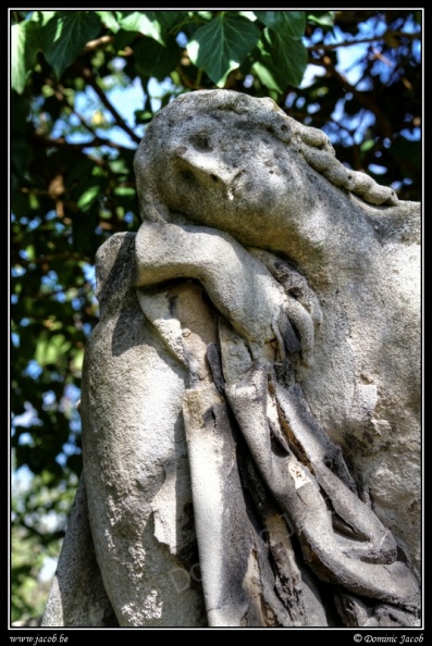 027-Wien Friedhof.jpg