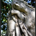 027-Wien Friedhof