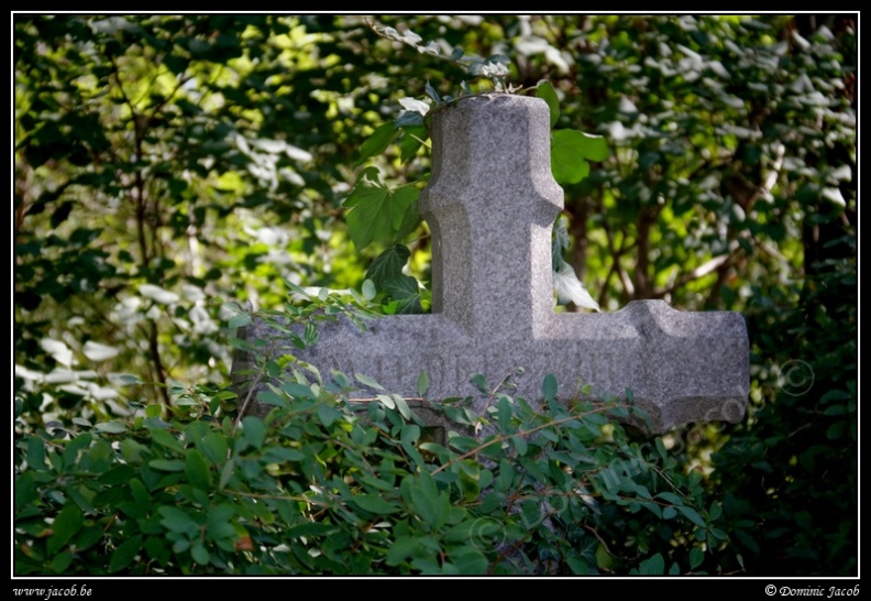 030-Wien Friedhof.jpg