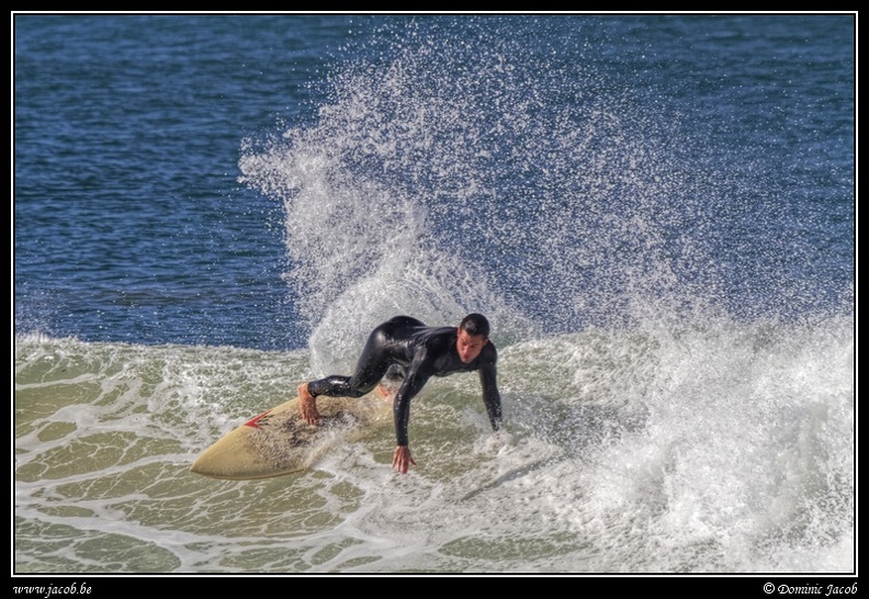 184-Surf.jpg