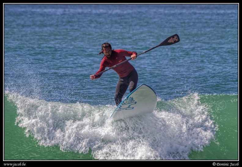 187-Paddle surf.jpg