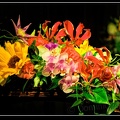 040-Floralies