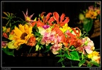 040-Floralies