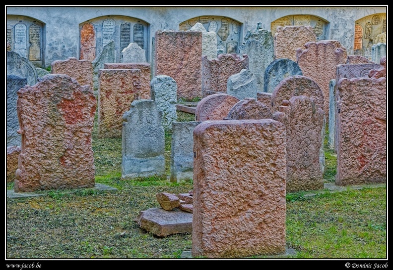 003-Wien Friedhof.jpg