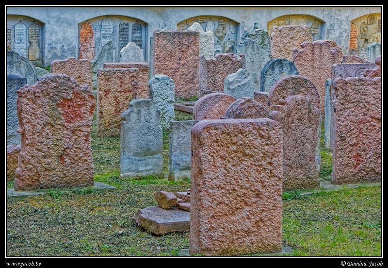 003-Wien Friedhof