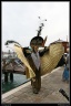 0104-Venise2010