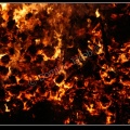799-Mardi2010