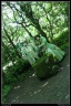 0141-Annevoie2011