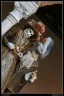 0496-Venise2012