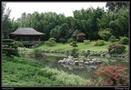 0101-Jardin japonais