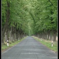 0113-Allee