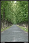 0113-Allee