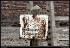 0190-Auschwitz