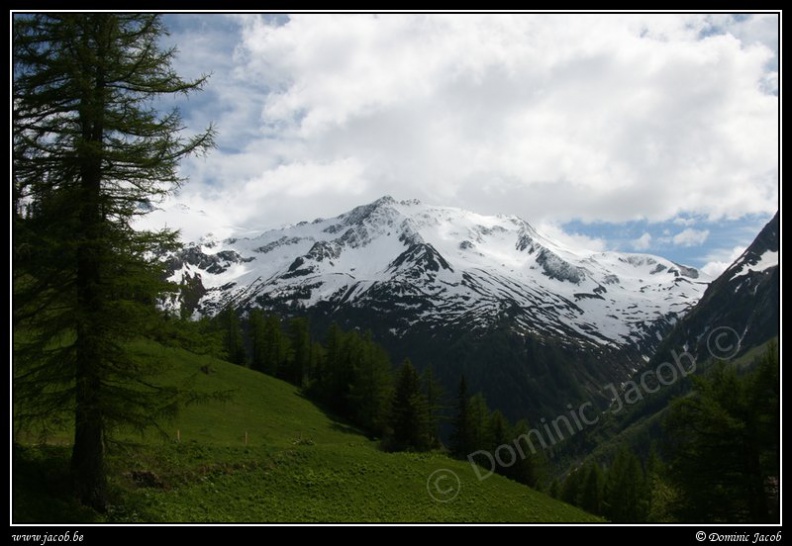 0202-Paysage alpin.jpg