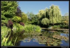 0238-Jardins de Monet