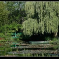 0239-Jardins de Monet