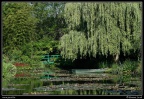 0239-Jardins de Monet