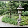 0272-Jardin japonais