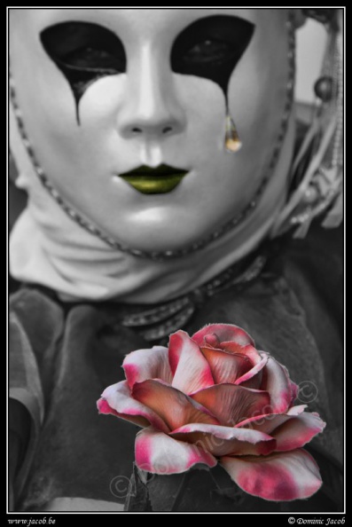 035b-Pierrot a la rose.jpg