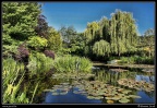 049h-Jardins de Monet
