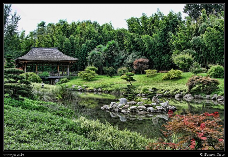 050h-Jardin japonais.jpg