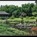 050h-Jardin japonais