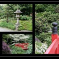 006o-Jardin japonais.jpg