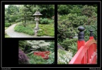 006o-Jardin japonais