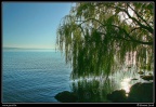 0374-Lago di Bolsena