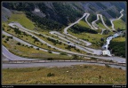 0449-Passo Stelvio