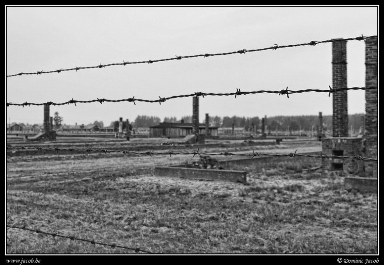 095a-Birkenau