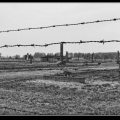 095a-Birkenau