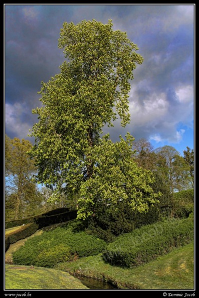 b013-Jardins Annevoie.jpg