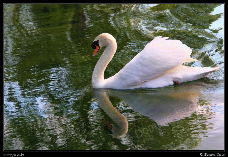 b038-Jardins Annevoie.jpg