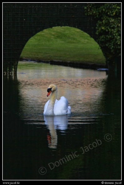 038-Jardins Annevoie