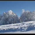 011-Col du Grand Ballon