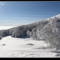 014-Col du Grand Ballon