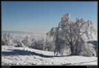 019-Col du Grand Ballon