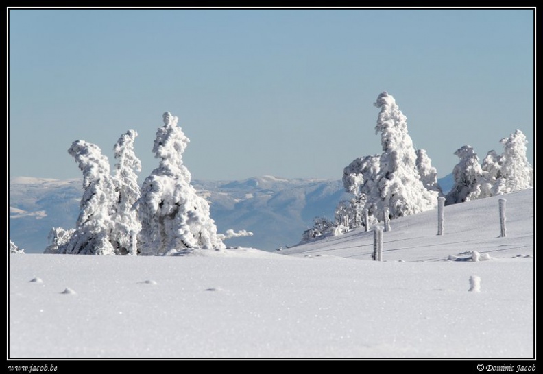 254-Col du Grand Ballon.jpg